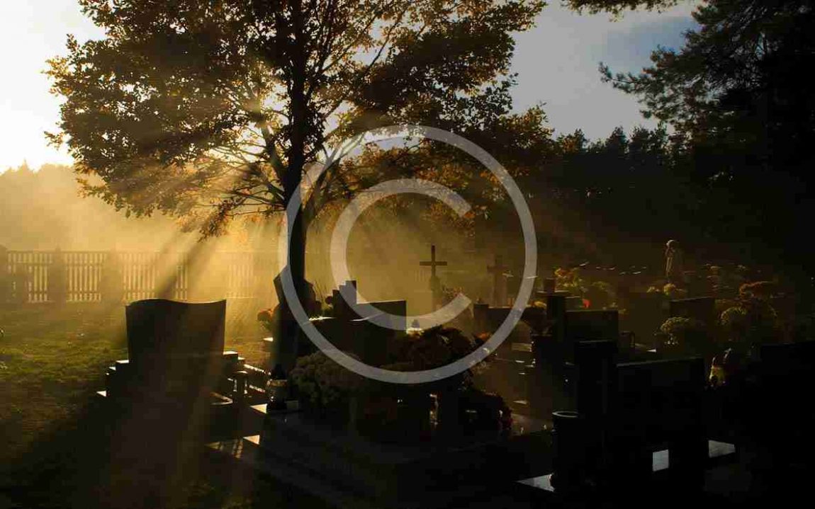 iStock_000006346120_graveyard.jpg